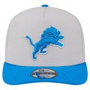 mens-new-era-stone-detroit-lions-decent-9fifty-a-frame-snapback-hat_ss5_p-201700373+pv-2+u-qjwkrxflzreve3dbwpxp+v-1s9nyeilbh2h59qqfksl.webp