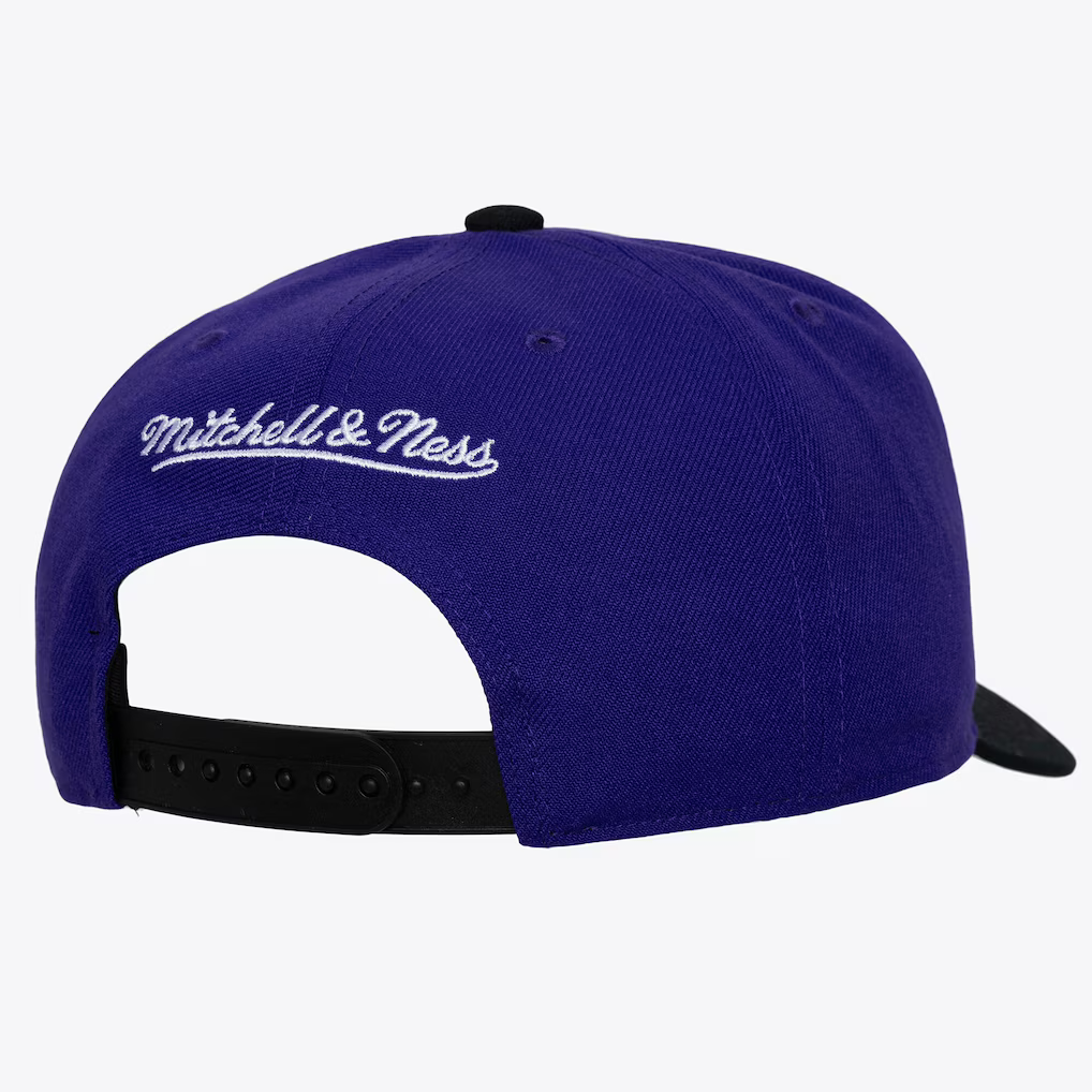 mens-mitchell-and-ness-purple-charlotte-hornets-legendary-home-pro-pinch-snapback-hat_ss5_p-203263536+pv-2+u-1gwcgp4xitix2femssl3+v-wf9ansxbajgsztha7fab.webp