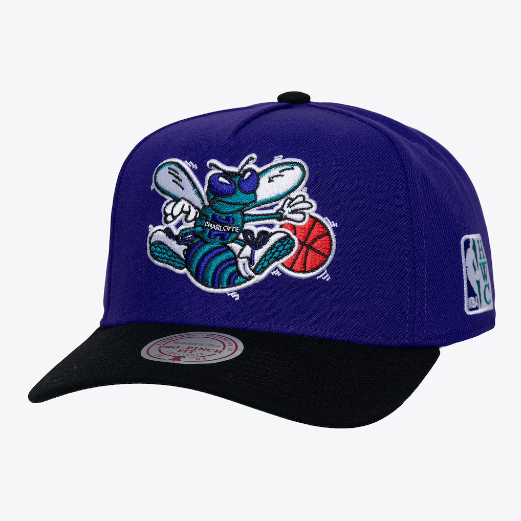 Charlotte Hornets Mitchell & Ness Legendary Home Pro Pinch Snapback Hat - Purple